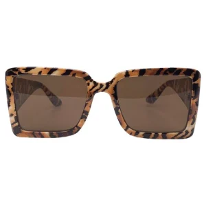 Dynamic Frames for the Urban Visionary